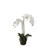 Orchidée Artificielle en Terre Petit format